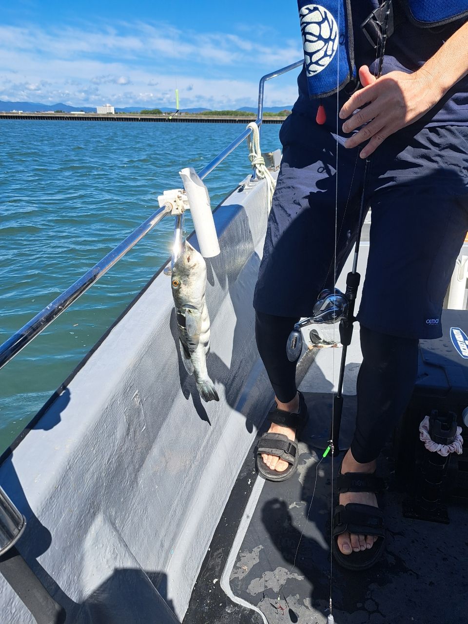 スプリングサンさんの釣果 2枚目の画像