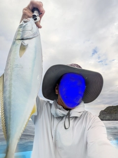 ハマチの釣果
