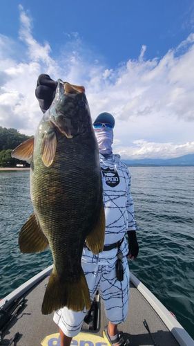 スモールマウスバスの釣果