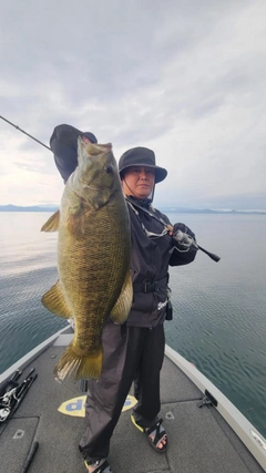 スモールマウスバスの釣果
