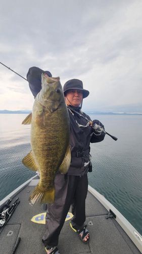 スモールマウスバスの釣果