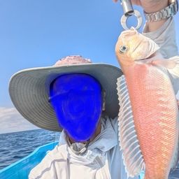 シロアマダイ