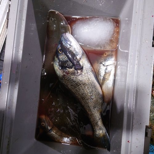 中浜名湖