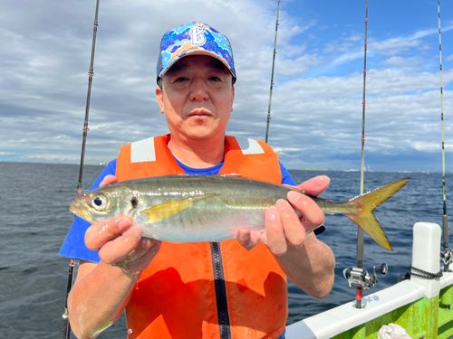 マアジの釣果