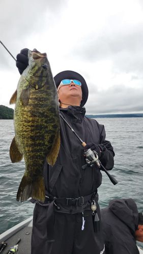 スモールマウスバスの釣果