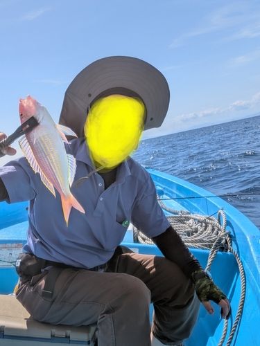 イトヨリダイの釣果