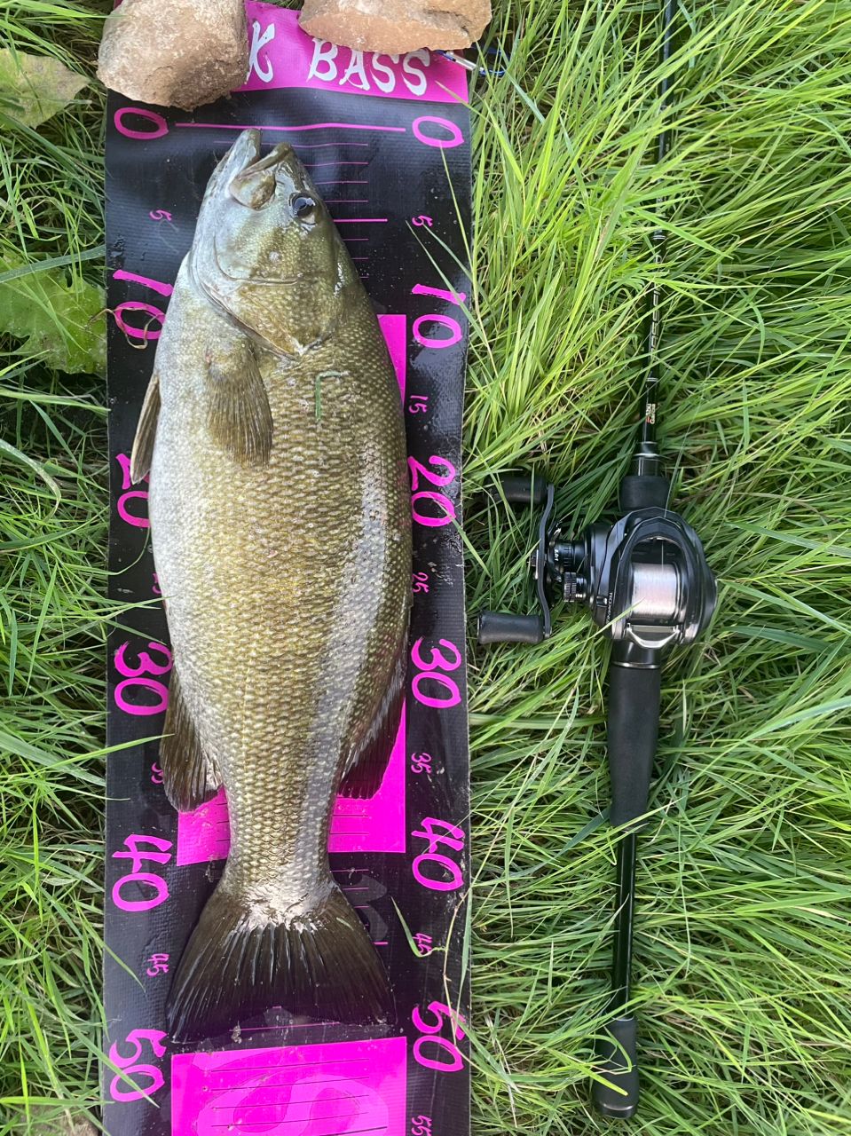 スモールマウスバス