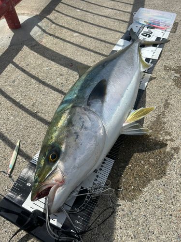 平磯海づり公園
