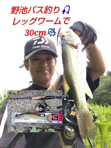 ブラックバスの釣果