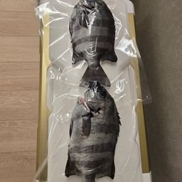 イシダイ