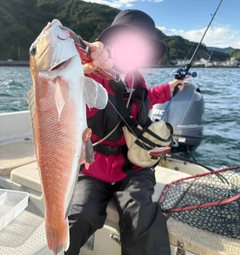 アマダイの釣果