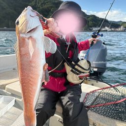 アマダイ
