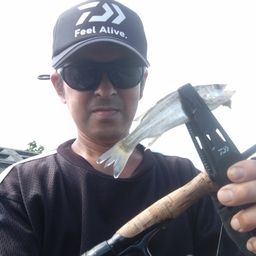 セイゴ（タイリクスズキ）