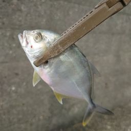 メッキ
