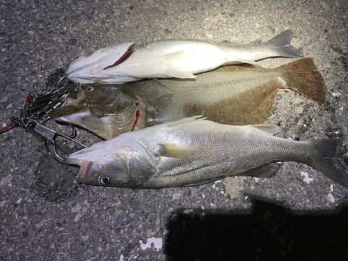 新舞子海岸（いわき）