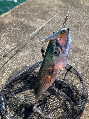 伊万里湾