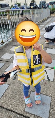 新居海釣公園