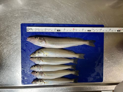 高砂港