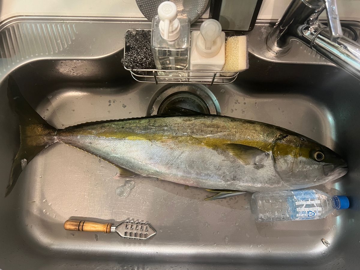 P&A&Dさんの釣果 2枚目の画像