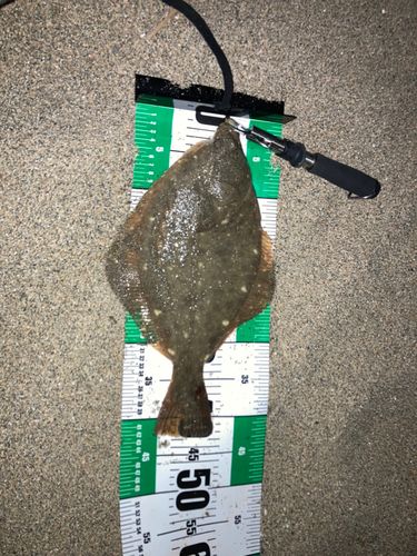 磯津漁港