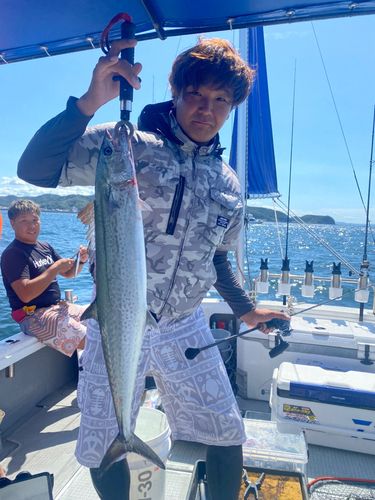 サワラの釣果