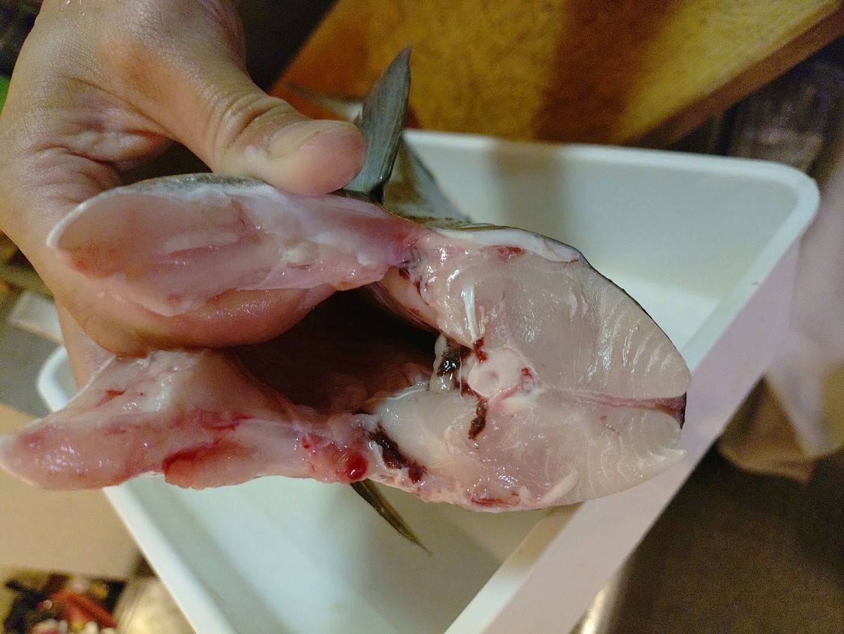 Devilrayさんの釣果 3枚目の画像