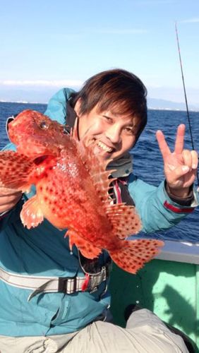 オニカサゴの釣果