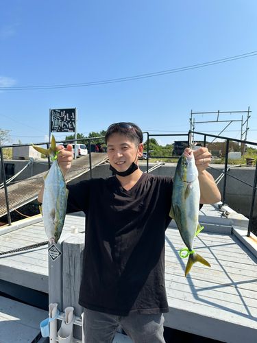ツバスの釣果