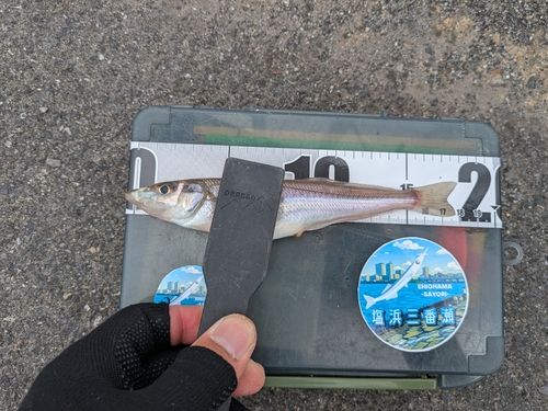 ディズニーリゾート付近