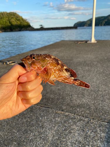 唐丹湾