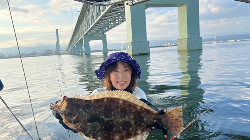 ヒラメの釣果
