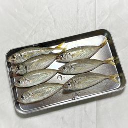 アジ