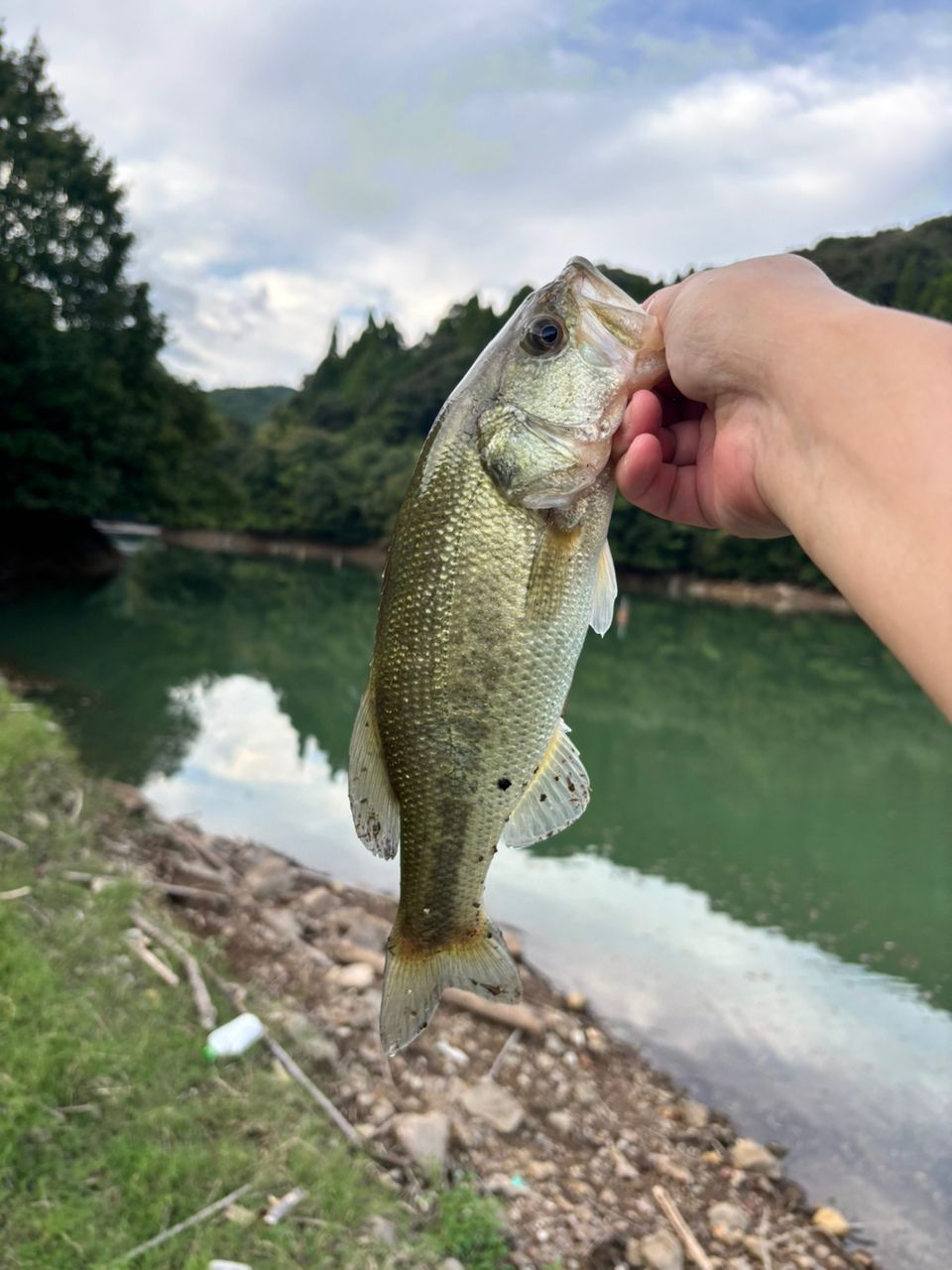 ブラックバス