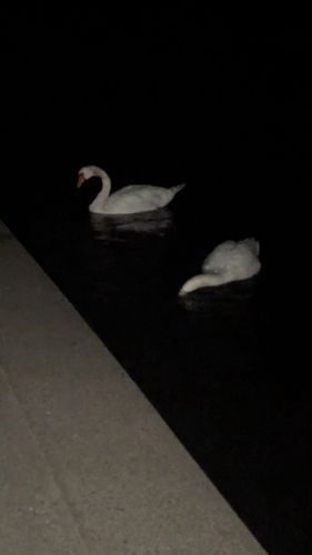 涸沼川