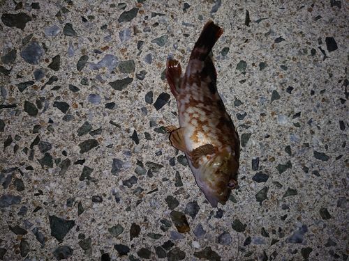 稲童漁港