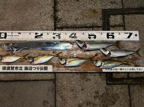海辺つり公園