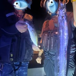 タチウオ