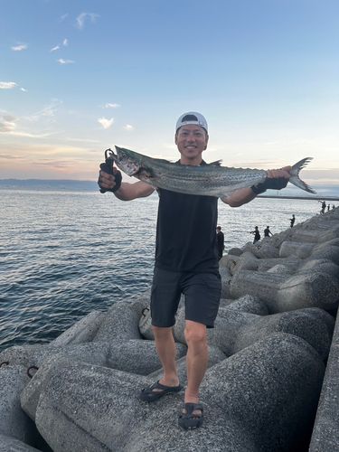 大阪湾