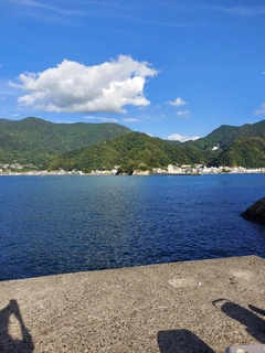 ニザダイの釣果