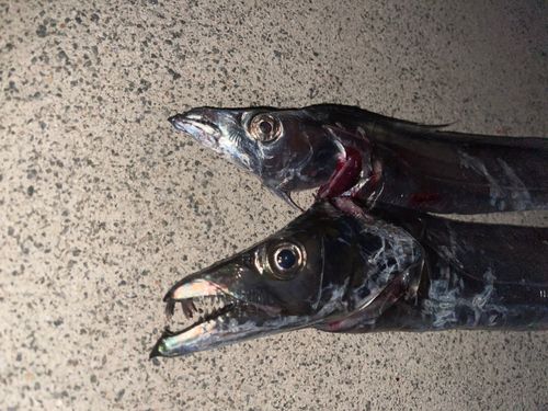 明石海峡