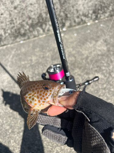 五ヶ所湾