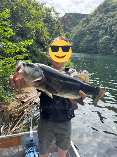 金砂湖
