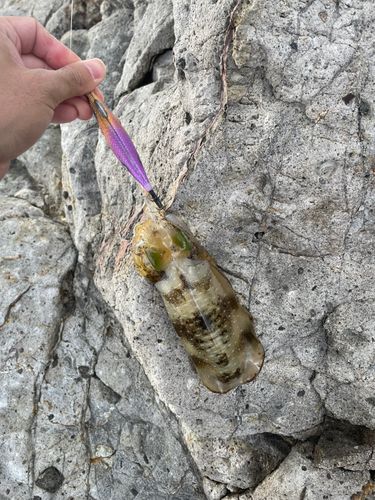 男鹿半島