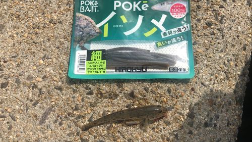 三河湾