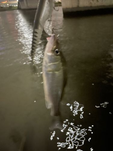 四つ木橋