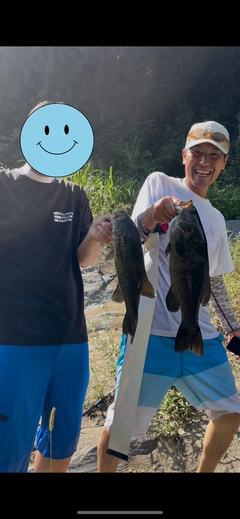 スモールマウスバスの釣果