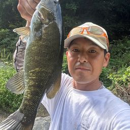 スモールマウスバス