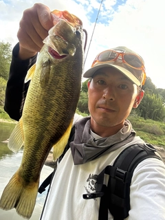 ラージマウスバスの釣果