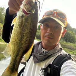 ラージマウスバス