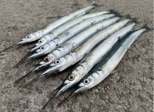 高洲海浜公園